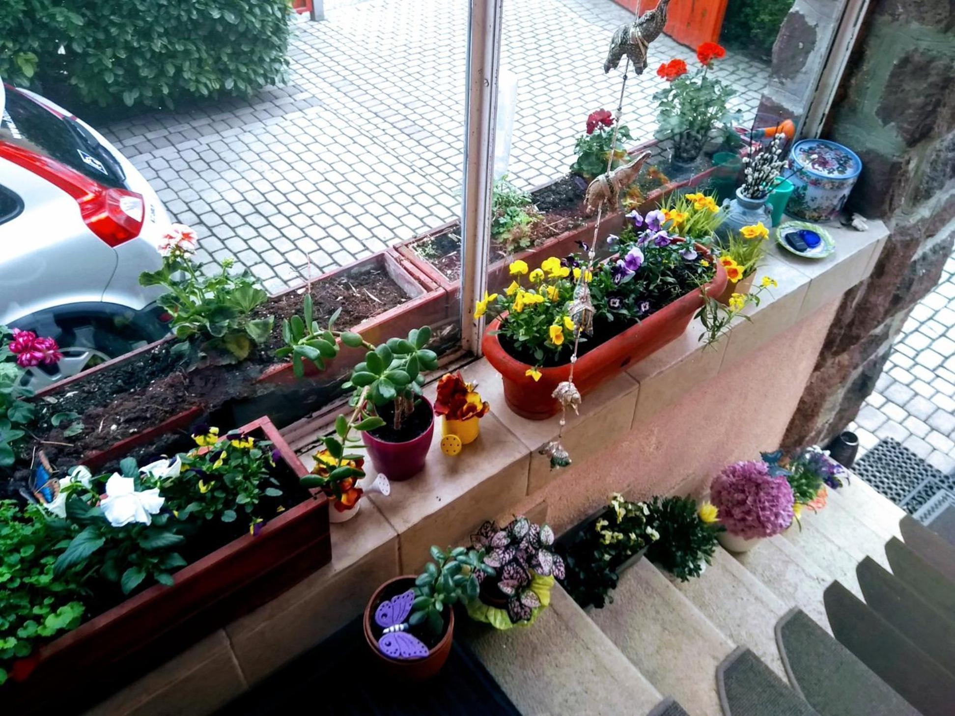 Villa Victoria Mosonmagyaróvár Esterno foto