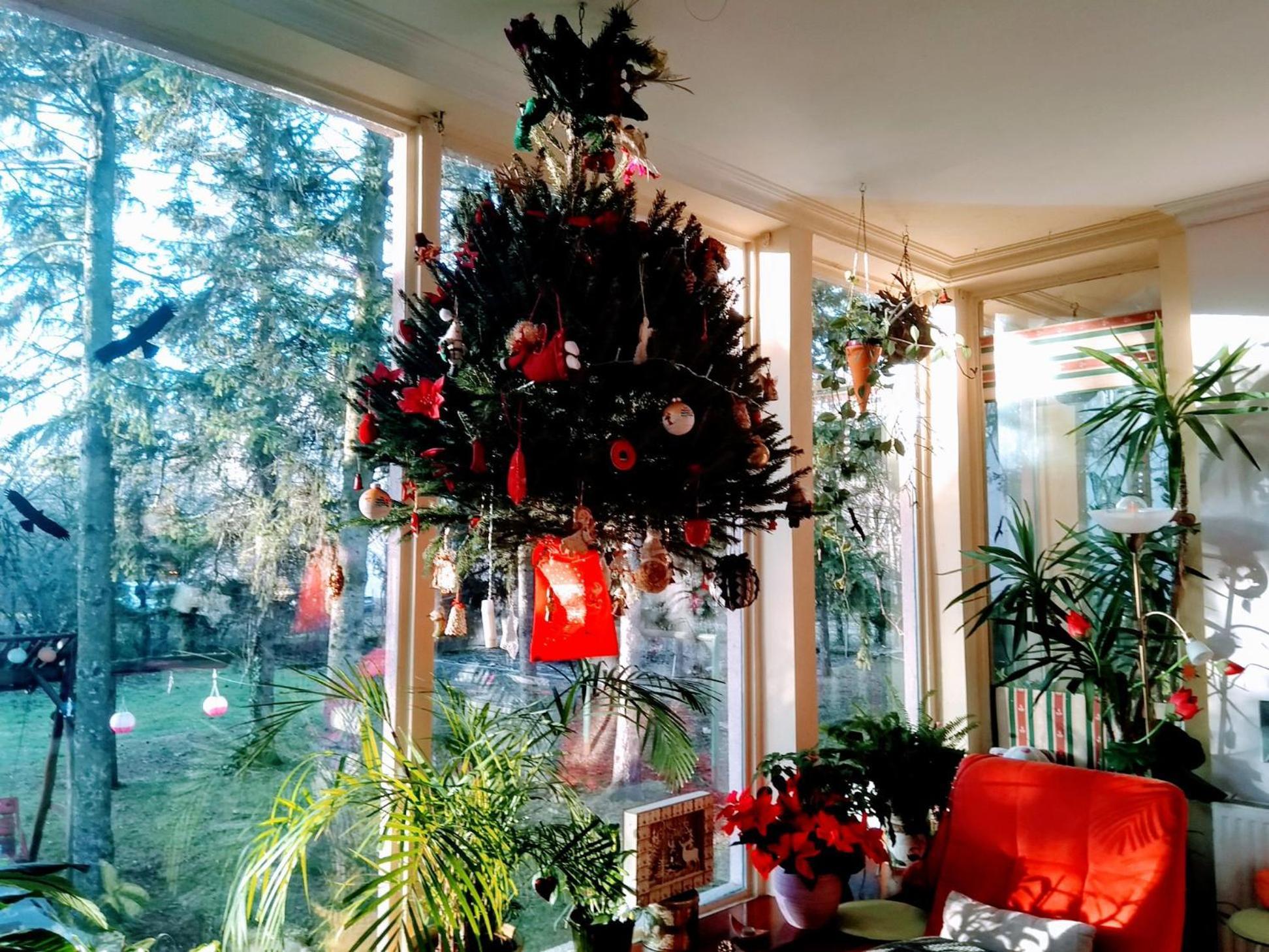 Villa Victoria Mosonmagyaróvár Esterno foto
